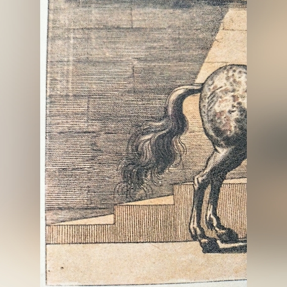 Antique Print - Horse Riding/Training - Equestrian Art - Picture 5 of 12